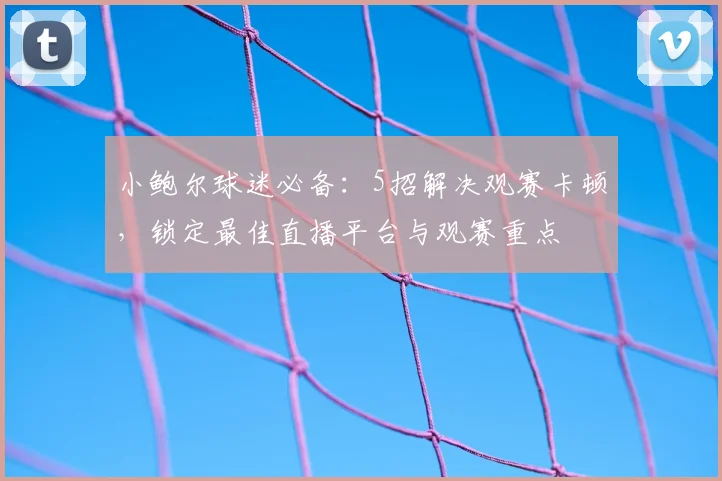 小鲍尔球迷必备：5招解决观赛卡顿，锁定最佳直播平台与观赛重点